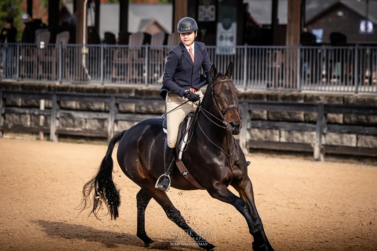 Horse and rider training together at Charming Bay Farm