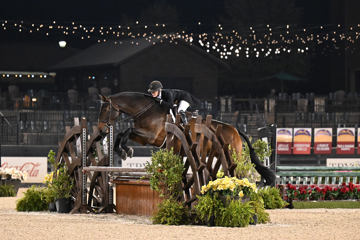 Professional ride at Charming Bay Farm