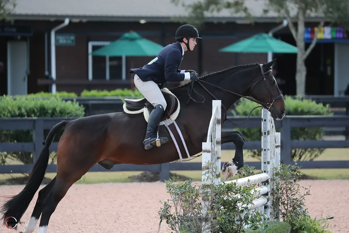 Horse and rider jumping during training at Charming Bay Farm